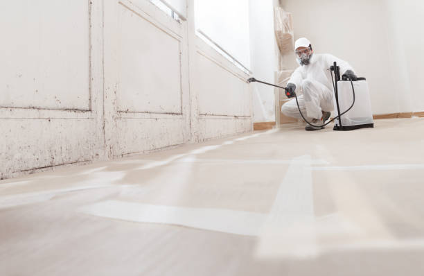 24/7 Emergency Mold Remediation experts in Newport, OR
